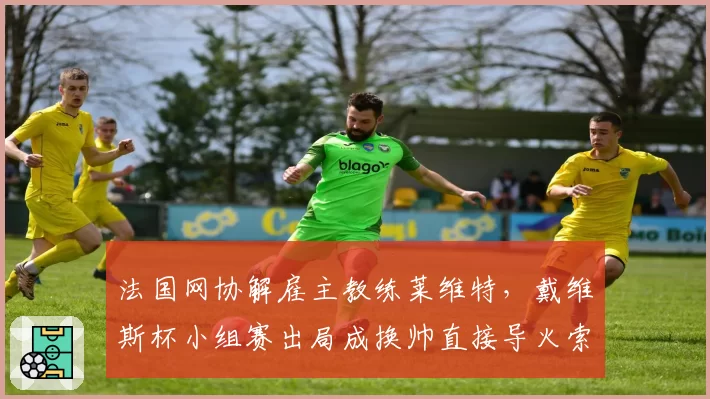 法国网协解雇主教练莱维特，戴维斯杯小组赛出局成换帅直接导火索