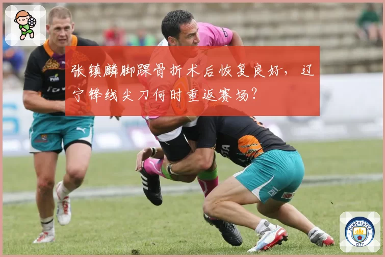 张镇麟脚踝骨折术后恢复良好，辽宁锋线尖刀何时重返赛场？