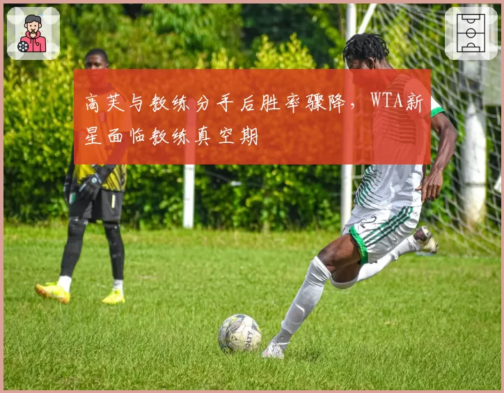 高芙与教练分手后胜率骤降，WTA新星面临教练真空期