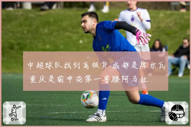 中超球队找到高级货 成都是席尔瓦 重庆是前申花第一兽腰阿马杜