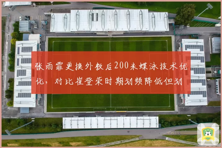 张雨霏更换外教后200米蝶泳技术优化，对比崔登荣时期划频降低但划水效率提高