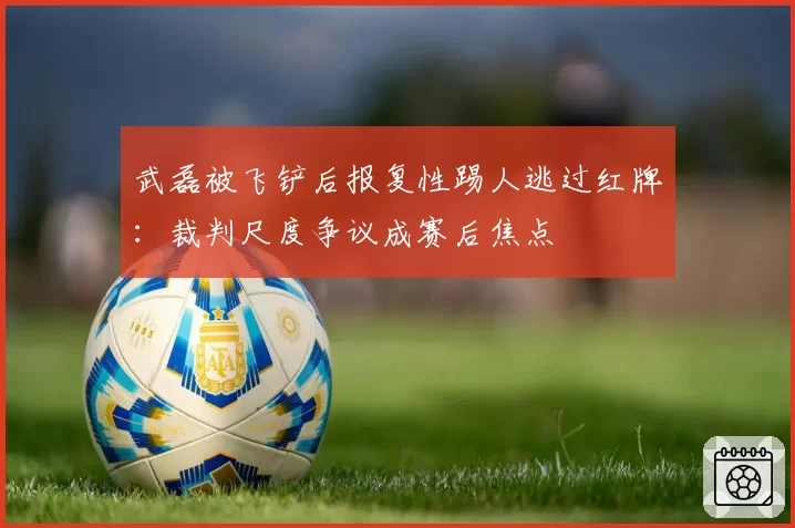武磊被飞铲后报复性踢人逃过红牌:裁判尺度争议成赛后焦点
